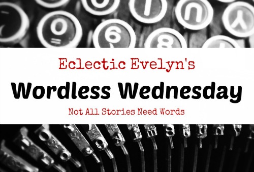 Eclectic Evelyn's #WordlessWednesday EclecticEvelyn.com
