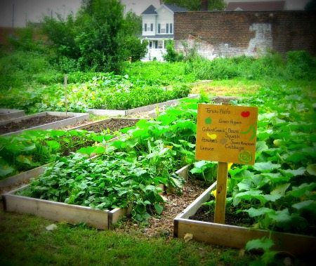 Community Garden to provide food for the hungry