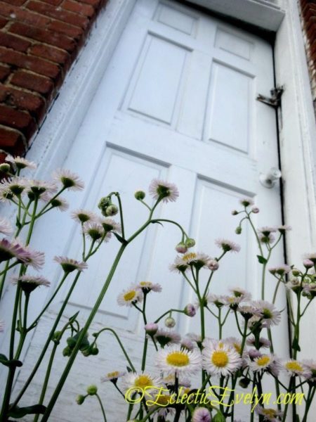 Just a Door EclecticEvelyn.com