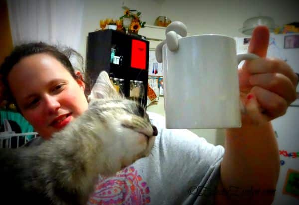 #CulinaryTeas #WafflestheCat EclecticEvelyn.com