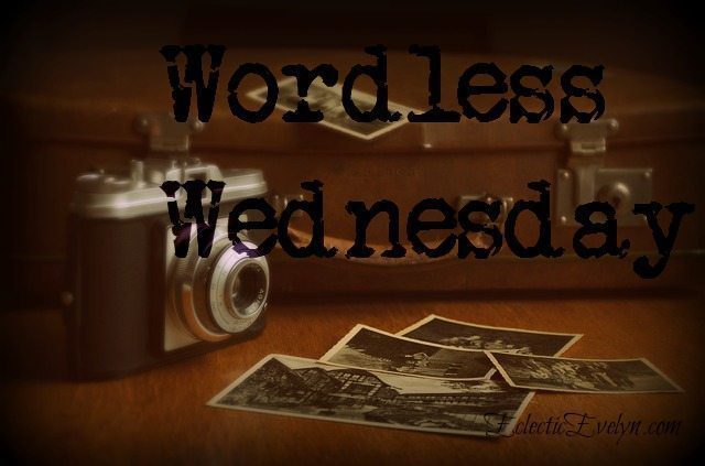 #WordlessWednesday EclecticEvelyn.com