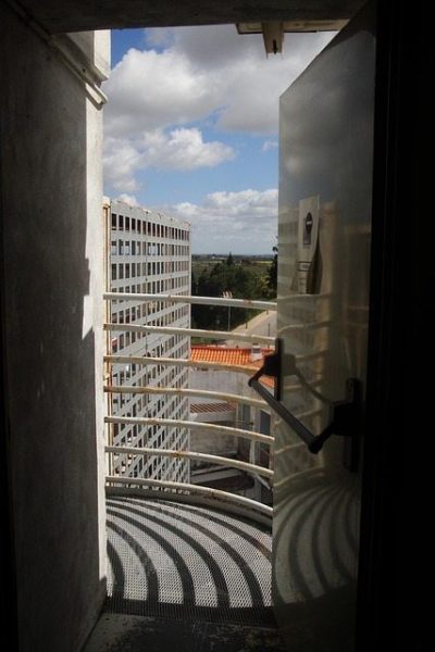 Looking for an Exit EclecticEvelyn.com