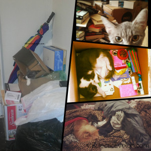 Purge and Sort Piles EclecticEvelyn.com