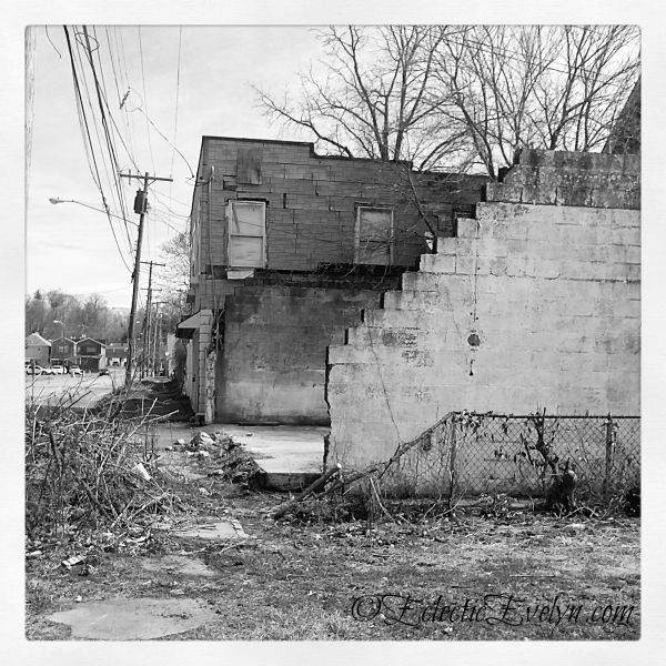 Wordless Wednesday EclecticEvelyn.com