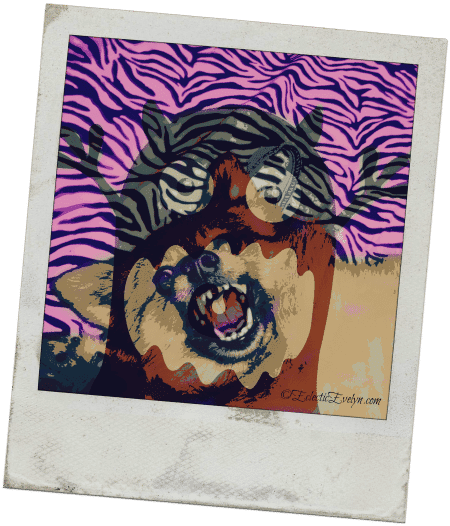 How To Make Her Stop Yapping EclecticEvelyn.com