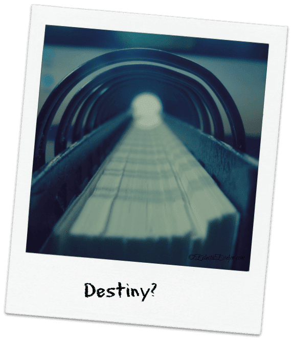 Destiny EclecticEvelyn.com