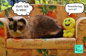 Don'tTalktoMe EclecticEvelyn.com