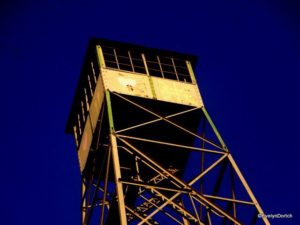 Billy Tripp Mindfield 2014 ©EvelynDortch EclecticEvelyn.com