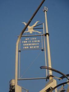 Billy Tripp Mindfield 2014 ©EvelynDortch EclecticEvelyn.com