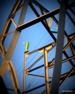 Billy Tripp Mindfield 2014 ©EvelynDortch EclecticEvelyn.com