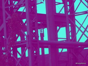 Billy Tripp Mindfield 2014 ©EvelynDortch EclecticEvelyn.com