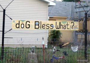 Billy Tripp Mindfield 2014 ©EvelynDortch EclecticEvelyn.com