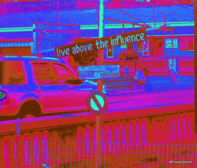 Billy Tripp Mindfield 2014 ©EvelynDortch EclecticEvelyn.com