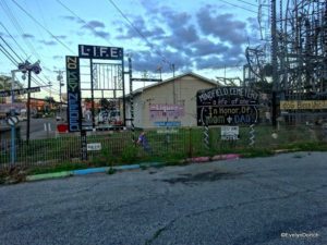 Billy Tripp Mindfield 2014 ©EvelynDortch EclecticEvelyn.com