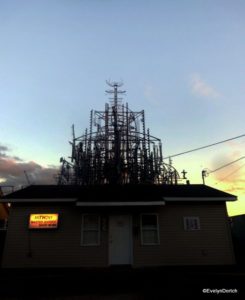 Billy Tripp Mindfield 2014 ©EvelynDortch EclecticEvelyn.com