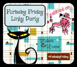Featured on Furbaby Friday