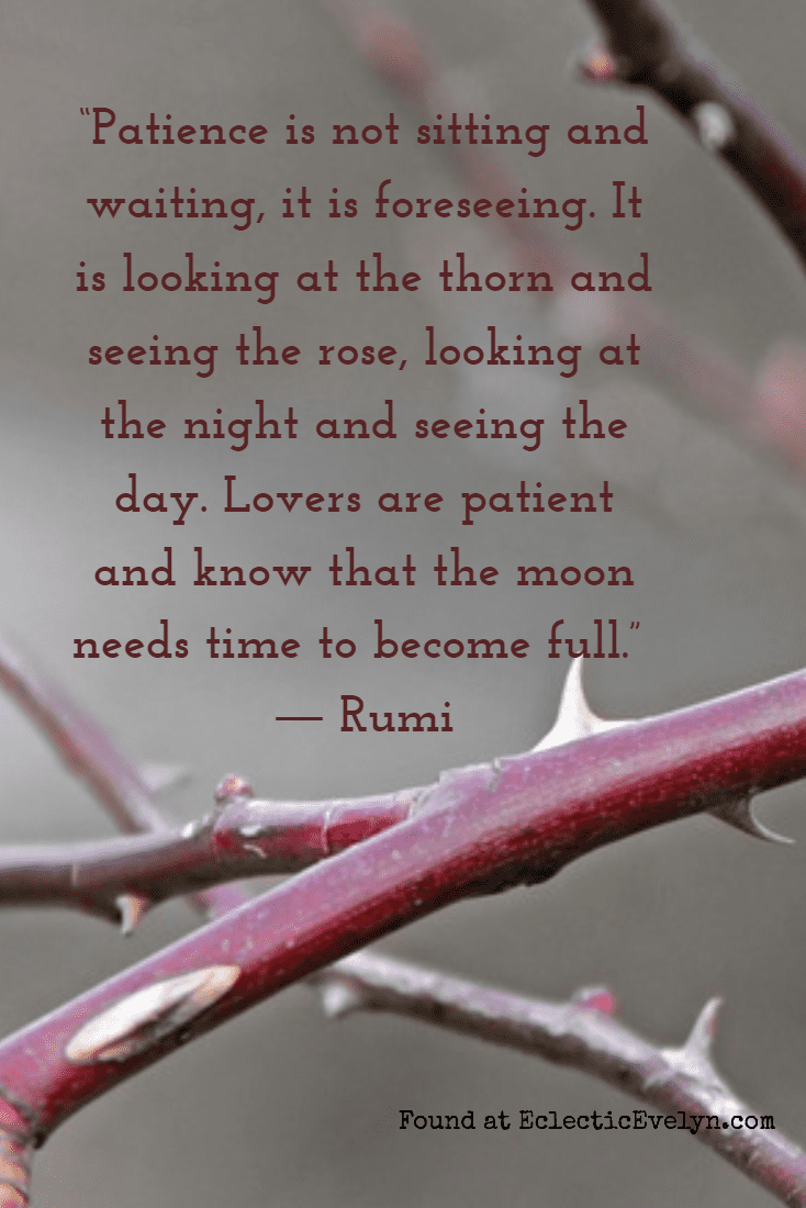 Quote from Rumi on finding peace