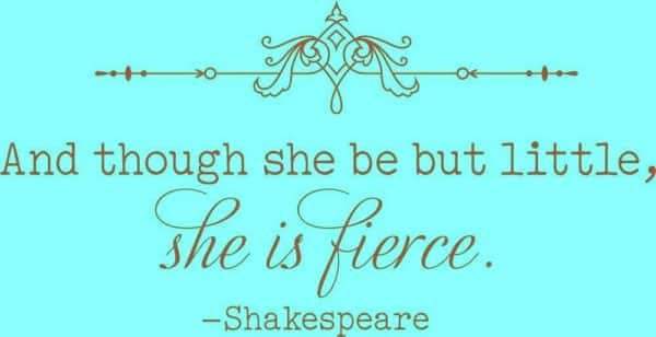 Fierce Fabulous Females on Instagram EclecticEvelyn.com