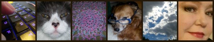 Filmstrip EclecticEvelyn.com