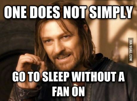 Sleeping with the Fan EclecticEvelyn.com