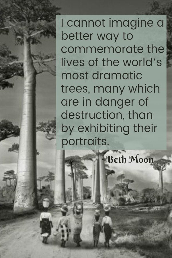 Beth Moon Tree Portrait EclecticEvelyn.com