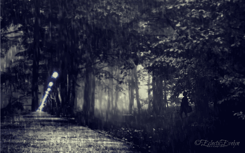 Silhouettes on the Shade EclecticEvelyn.com