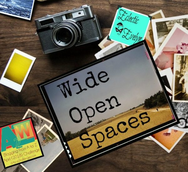 collage created by Evelyn Dortch