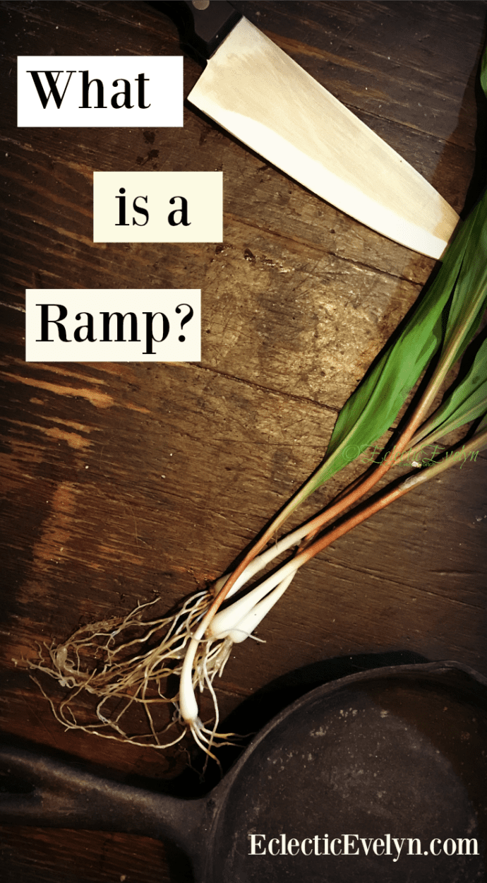 fresh West Virginia ramps laying next to a knife and a cast iron skillet on a wooden table