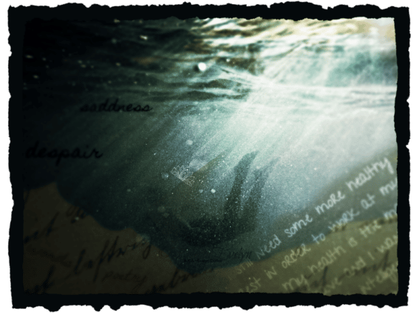 collage created by Evelyn Dortch