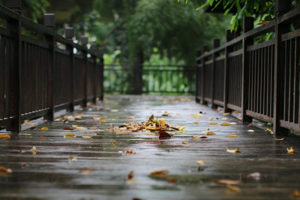 rainy autumn day