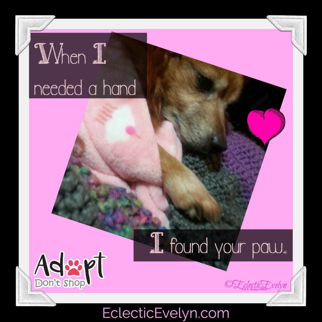 Vinny the dog laying in bed and the words when I needed a hand I found your paw