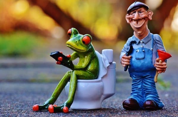 plumber and a frog sitting on a toilet