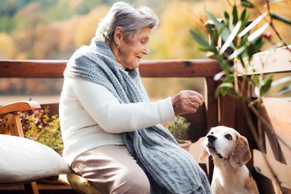 mature person petting a dog