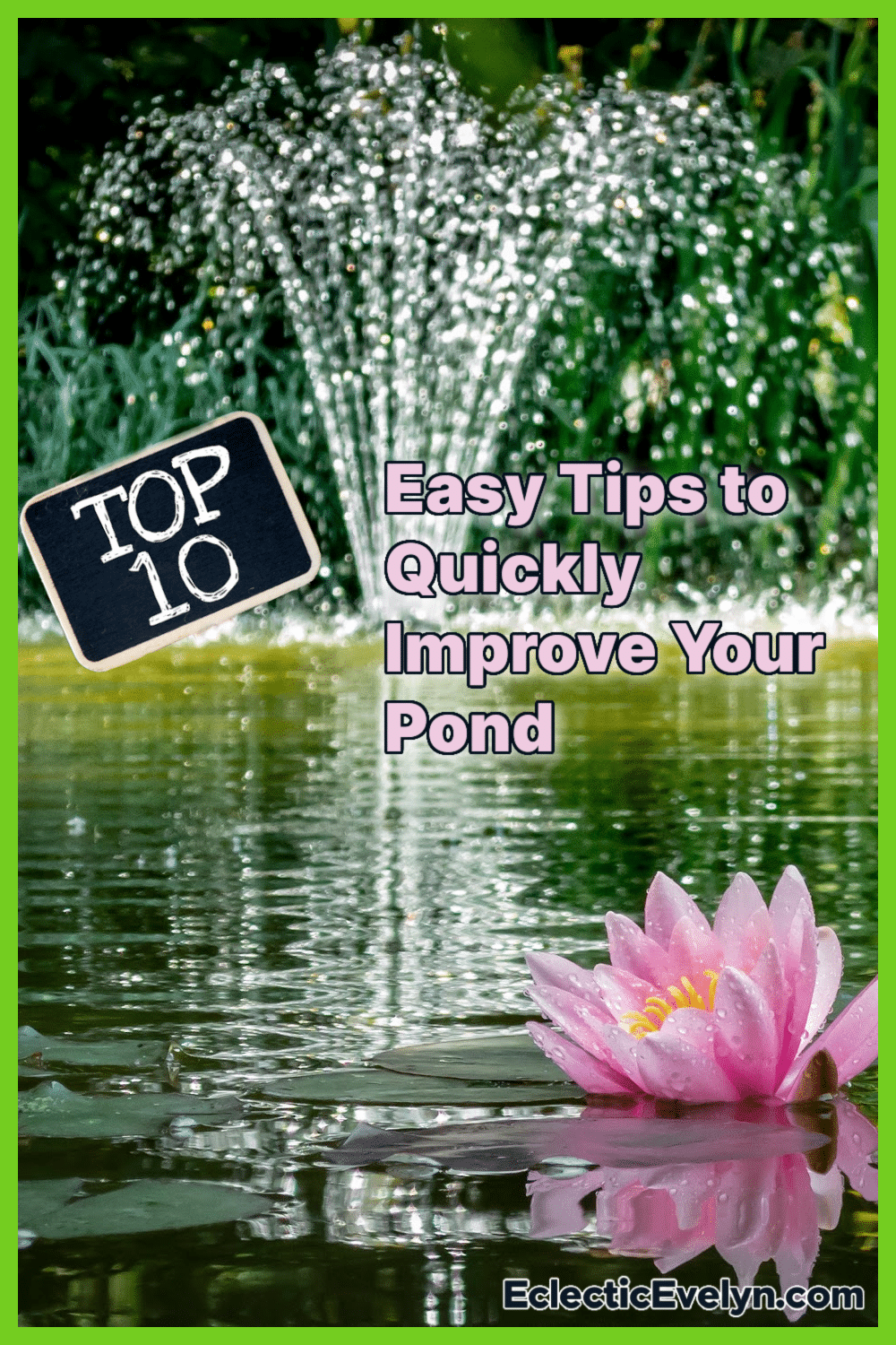 pond with a fountain and a water lily with a sing that says top 10 and the words Easy Tips to Quickly Improve your Pond