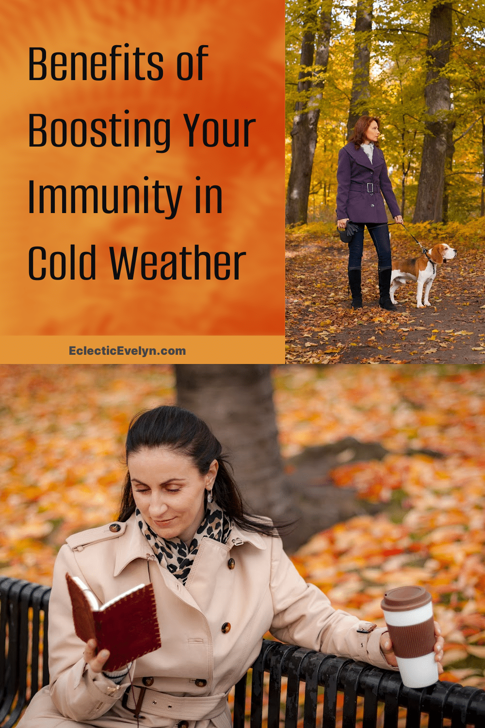 woman over 40 reading in a park, a woman over 50 walking a dog in the autumn woods words Benefits of Boosting Your Immunity in Cold Weather.