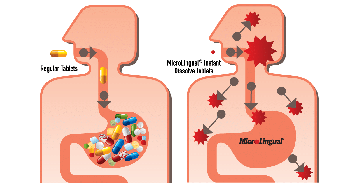Superior Source Vitamins absorb directly into the blood stream as shown in the diagram.