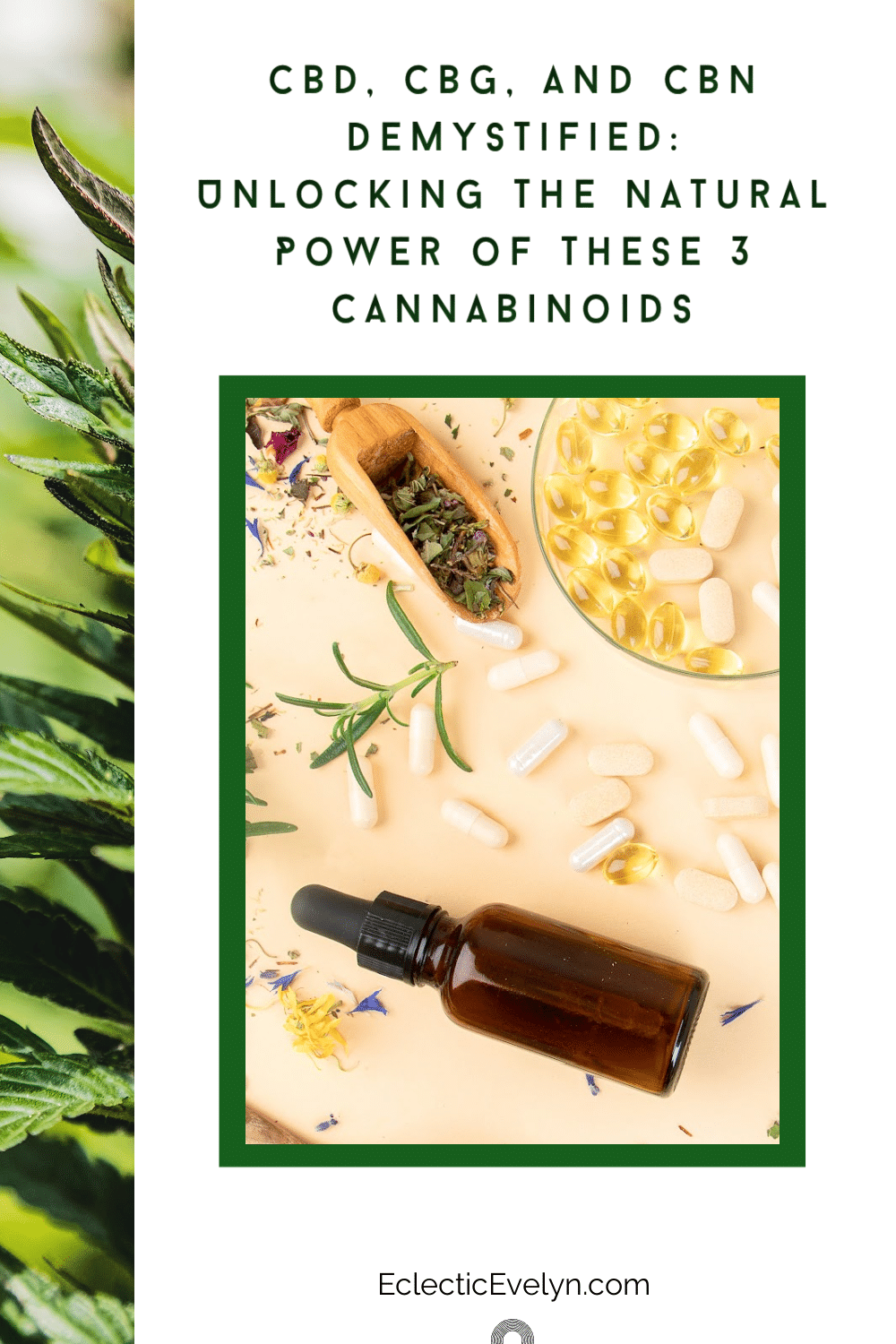 collage marijuana plant, tincture bottle, flower bud, oil capsules and the words CBD, CBG, and CBN Demystified: Unlocking the Natural Power of these 3 Cannabinoids