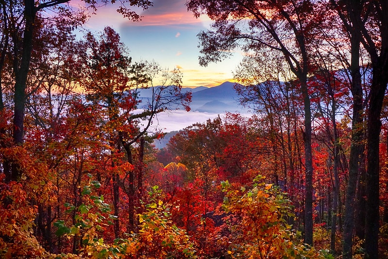 Sunrise The Great Smoky Mountains Tennessee fall foliage photo by Steve Harwood appalachia