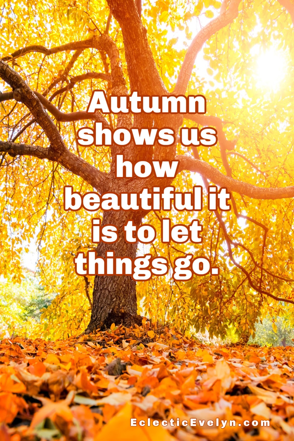quote Autumn shows us how beautiful it is to let things go on a tree that has lost all its leaves on the ground