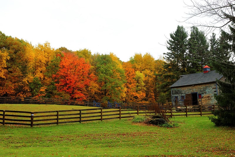 fall foliage with a split rail fence and and old building in Massachusetts