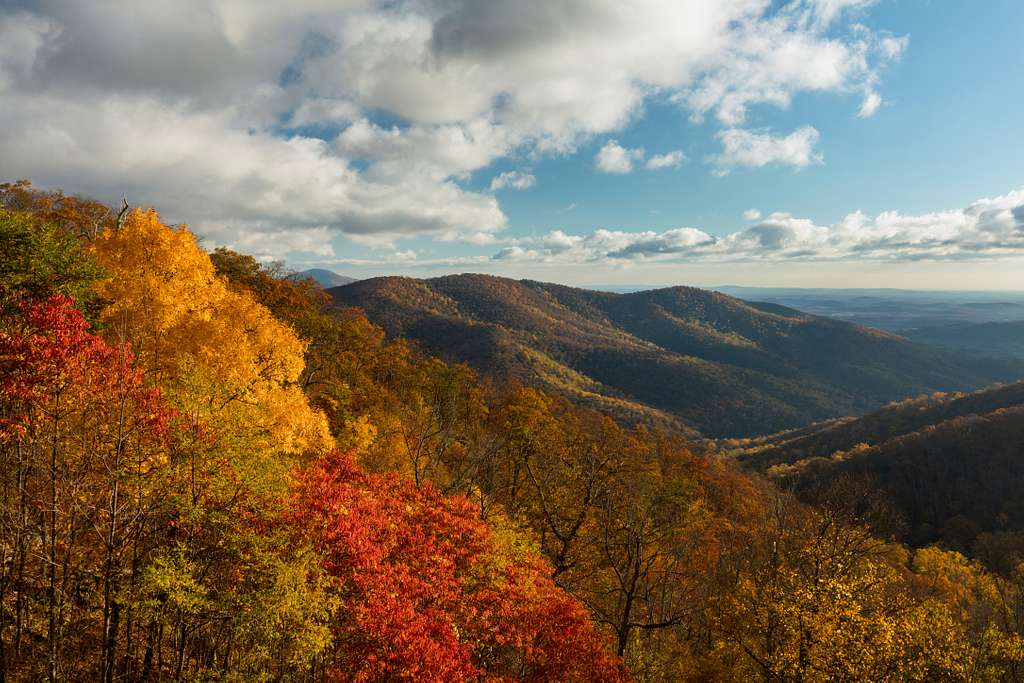 Shenandoah Valley, Virginia overlook fall road trip appalachia