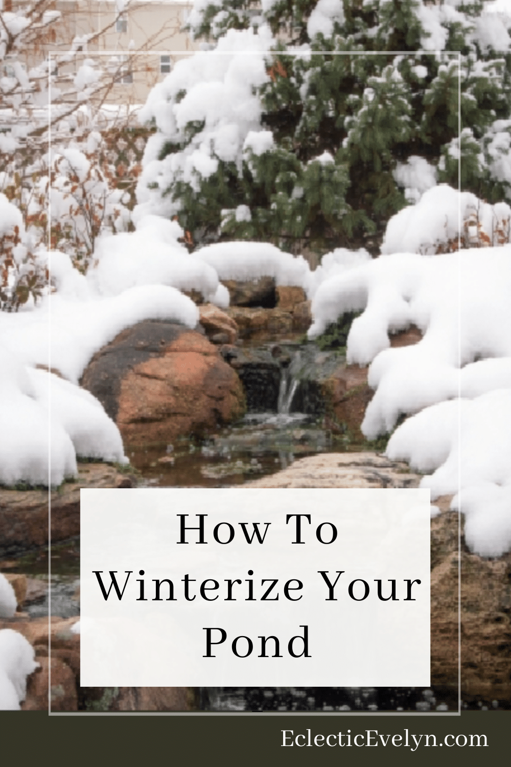 pond with a waterfall and snow and the words How To Winterize Your Pond
