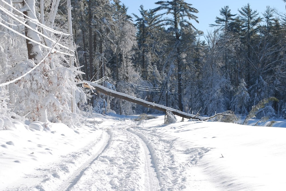 snow covered road with a tree on a power line knocking out power